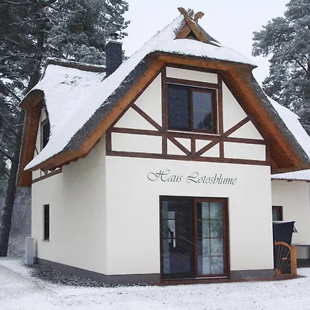 Lotusbluete, Tatil Evi *